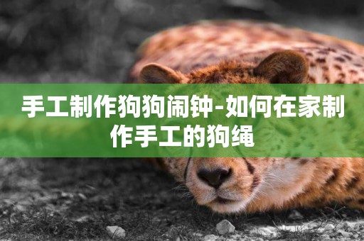 手工制作狗狗鬧鐘-如何在家制作手工的狗繩