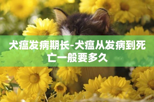 犬瘟發病期長-犬瘟從發病到死亡一般要多久