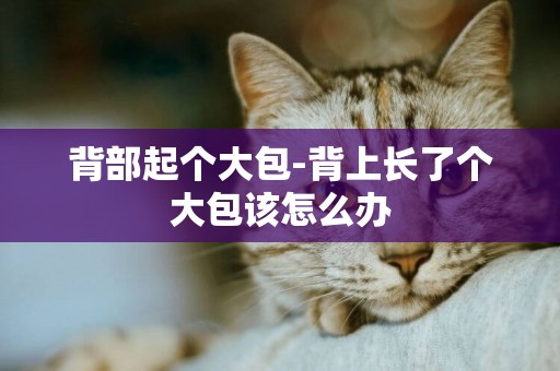 背部起個大包-背上長了個大包該怎么辦