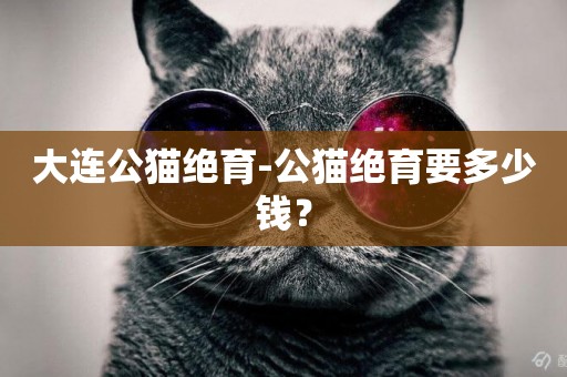 大連公貓絕育-公貓絕育要多少錢？
