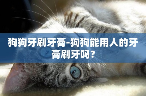 狗狗牙刷牙膏-狗狗能用人的牙膏刷牙嗎？