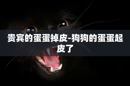 貴賓的蛋蛋掉皮-狗狗的蛋蛋起皮了