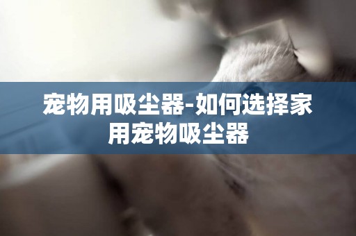 寵物用吸塵器-如何選擇家用寵物吸塵器