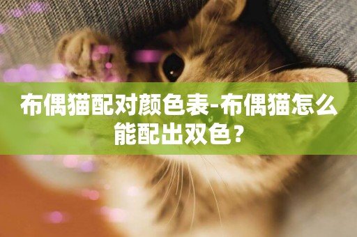布偶貓配對顏色表-布偶貓怎么能配出雙色？