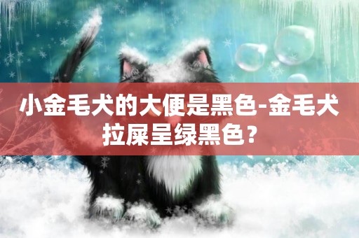 小金毛犬的大便是黑色-金毛犬拉屎呈綠黑色？