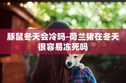 豚鼠冬天會冷嗎-荷蘭豬在冬天很容易凍死嗎