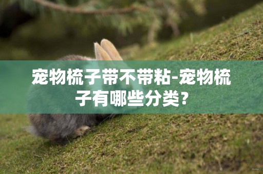 寵物梳子帶不帶粘-寵物梳子有哪些分類？