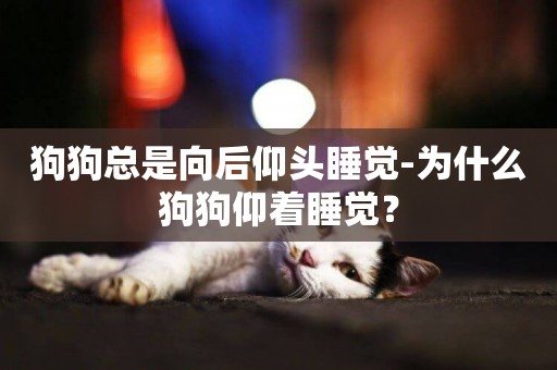 狗狗總是向后仰頭睡覺-為什么狗狗仰著睡覺？