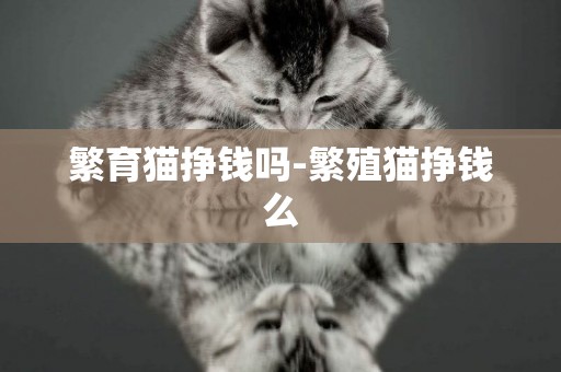 繁育貓掙錢嗎-繁殖貓掙錢么