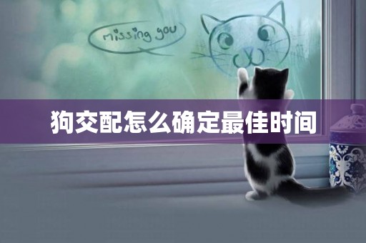 狗交配怎么確定最佳時間