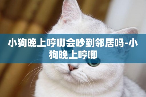 小狗晚上哼唧會吵到鄰居嗎-小狗晚上哼唧