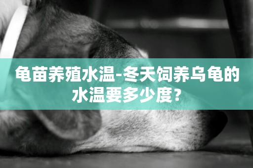 龜苗養殖水溫-冬天飼養烏龜的水溫要多少度？