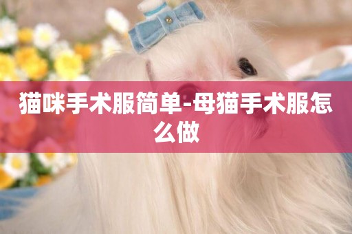 貓咪手術服簡單-母貓手術服怎么做