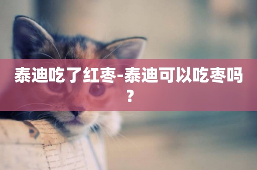 泰迪吃了紅棗-泰迪可以吃棗嗎？