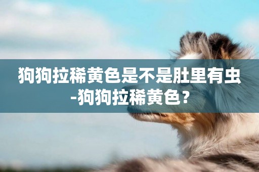 狗狗拉稀黃色是不是肚里有蟲-狗狗拉稀黃色？