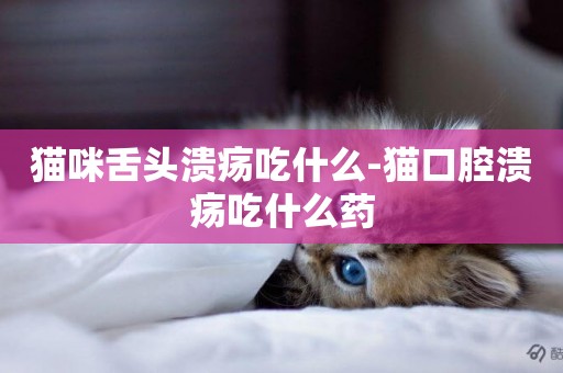 貓咪舌頭潰瘍吃什么-貓口腔潰瘍吃什么藥