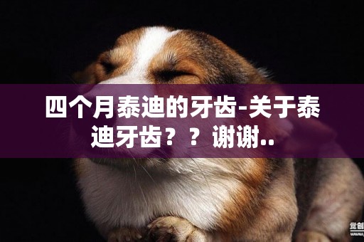 四個月泰迪的牙齒-關于泰迪牙齒？？謝謝..