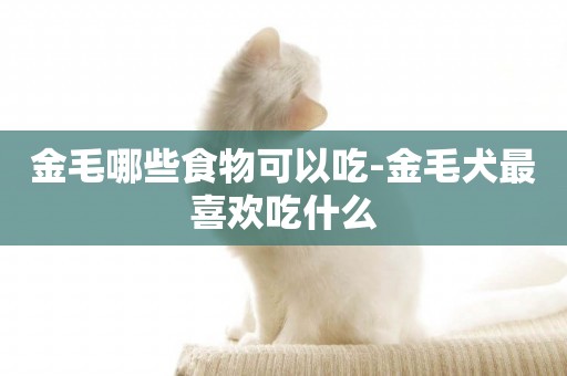 金毛哪些食物可以吃-金毛犬最喜歡吃什么