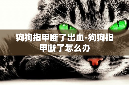 狗狗指甲斷了出血-狗狗指甲斷了怎么辦
