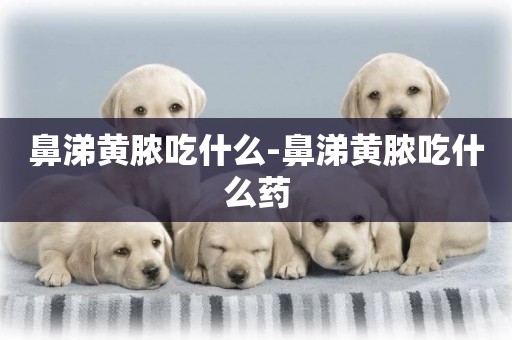 鼻涕黃膿吃什么-鼻涕黃膿吃什么藥