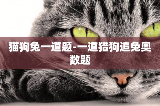 貓狗兔一道題-一道獵狗追兔奧數題