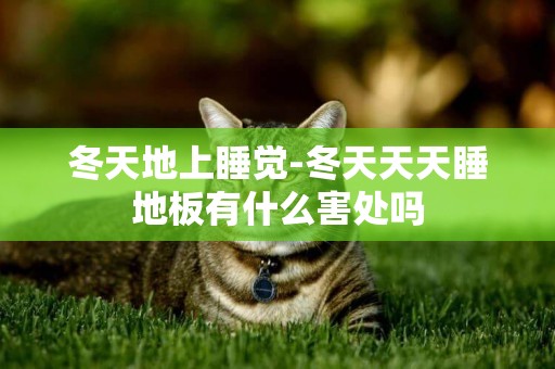 冬天地上睡覺-冬天天天睡地板有什么害處嗎