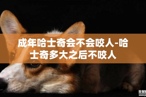 成年哈士奇會不會咬人-哈士奇多大之后不咬人