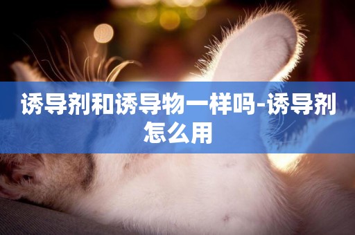 誘導劑和誘導物一樣嗎-誘導劑怎么用