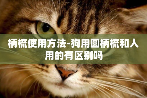 柄梳使用方法-狗用圓柄梳和人用的有區別嗎