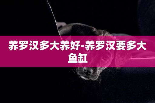 養羅漢多大養好-養羅漢要多大魚缸