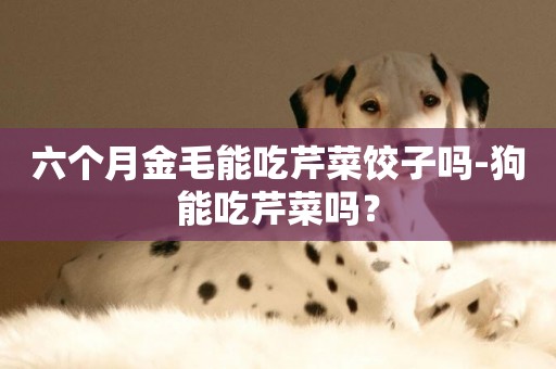 六個月金毛能吃芹菜餃子嗎-狗能吃芹菜嗎？