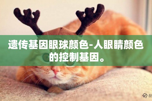 遺傳基因眼球顏色-人眼睛顏色的控制基因。