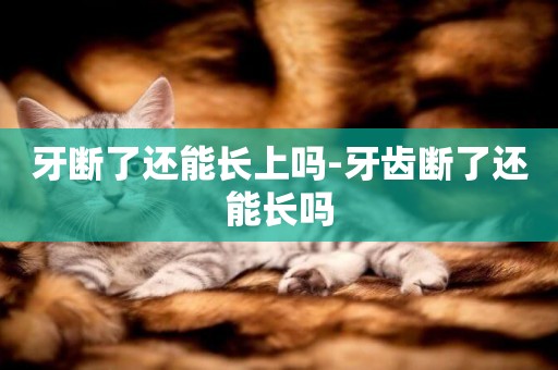 牙斷了還能長上嗎-牙齒斷了還能長嗎