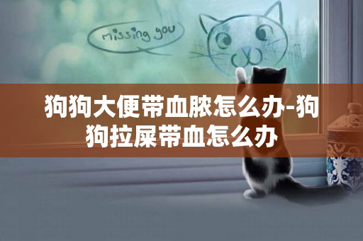 狗狗大便帶血膿怎么辦-狗狗拉屎帶血怎么辦