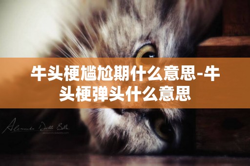 牛頭梗尷尬期什么意思-牛頭梗彈頭什么意思