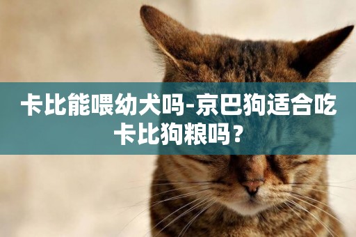 卡比能喂幼犬嗎-京巴狗適合吃卡比狗糧嗎？