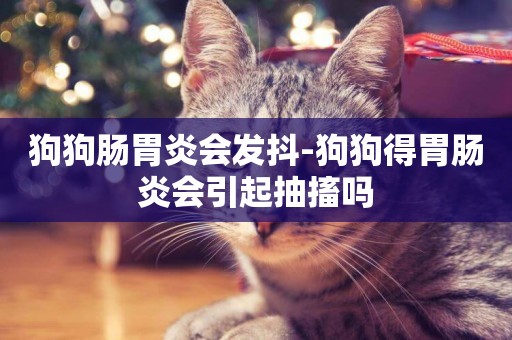 狗狗腸胃炎會發抖-狗狗得胃腸炎會引起抽搐嗎