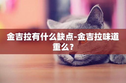 金吉拉有什么缺點-金吉拉味道重么？