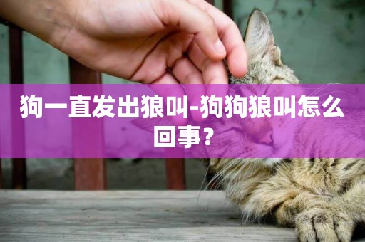 狗一直發出狼叫-狗狗狼叫怎么回事？