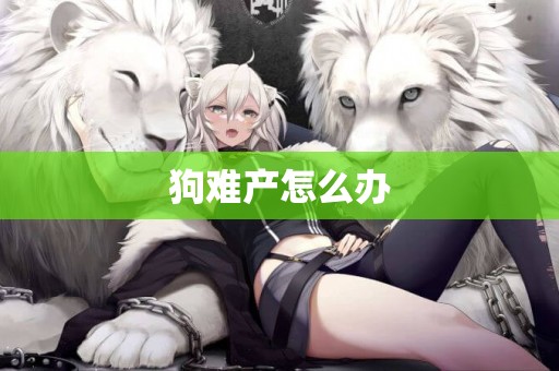 狗難產怎么辦