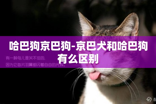 哈巴狗京巴狗-京巴犬和哈巴狗有么區別