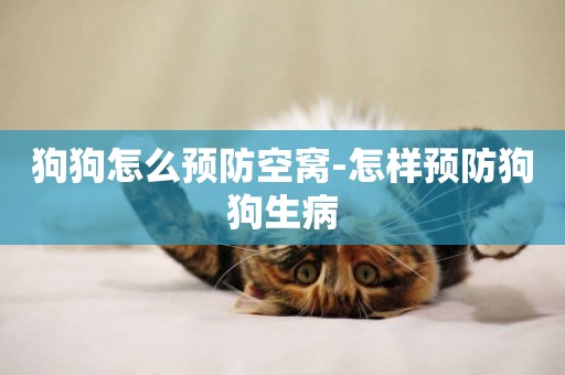 狗狗怎么預防空窩-怎樣預防狗狗生病