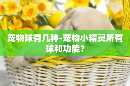 寵物球有幾種-寵物小精靈所有球和功能？