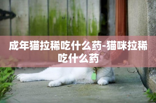 成年貓拉稀吃什么藥-貓咪拉稀吃什么藥