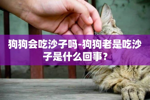 狗狗會吃沙子嗎-狗狗老是吃沙子是什么回事？