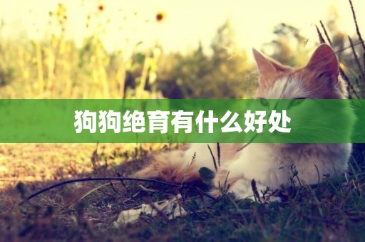 狗狗絕育有什么好處