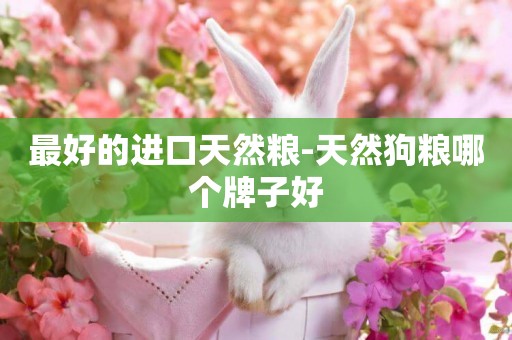 最好的進口天然糧-天然狗糧哪個牌子好