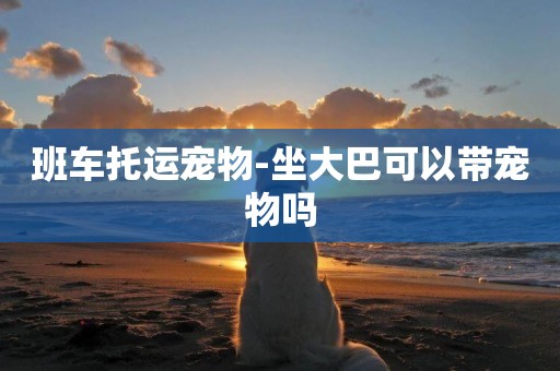 班車托運寵物-坐大巴可以帶寵物嗎