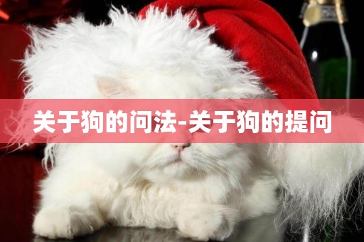 關于狗的問法-關于狗的提問