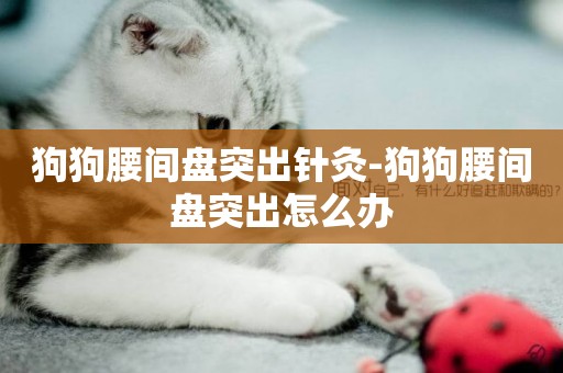 狗狗腰間盤突出針灸-狗狗腰間盤突出怎么辦